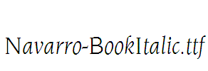 Navarro-BookItalic