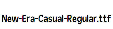 New-Era-Casual-Regular