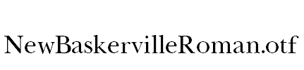 NewBaskervilleRoman