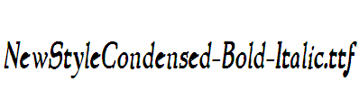 NewStyleCondensed-Bold-Italic