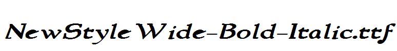 NewStyleWide-Bold-Italic