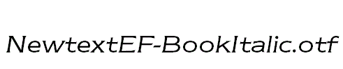 NewtextEF-BookItalic