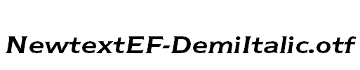 NewtextEF-DemiItalic