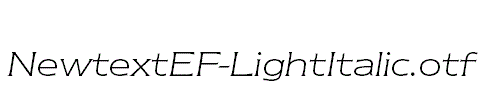 NewtextEF-LightItalic