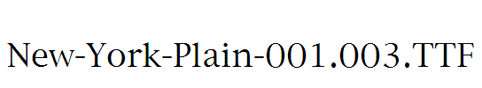 New-York-Plain-001.003