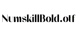 NumskillBold