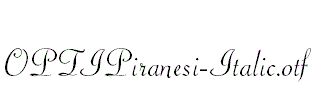 OPTIPiranesi-Italic