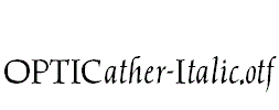 OPTICather-Italic