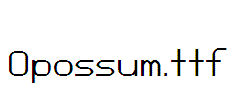 Opossum