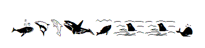 Orcas