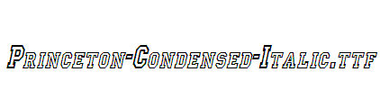 Princeton-Condensed-Italic