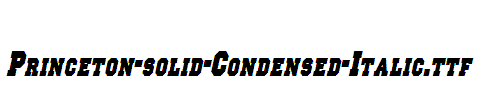 Princeton-solid-Condensed-Italic