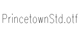 PrincetownStd