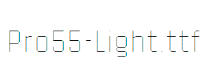 Pro55-Light