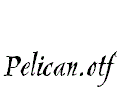 Pelican