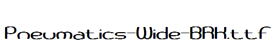 Pneumatics-Wide-BRK