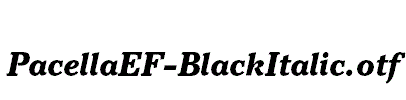 PacellaEF-BlackItalic