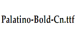 Palatino-Bold-Cn