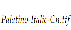 Palatino-Italic-Cn