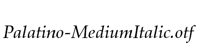 Palatino-MediumItalic