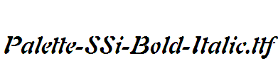 Palette-SSi-Bold-Italic