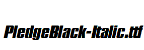 PledgeBlack-Italic
