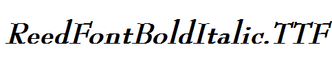 ReedFontBoldItalic