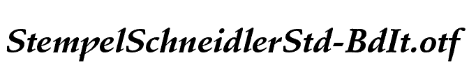 StempelSchneidlerStd-BdIt