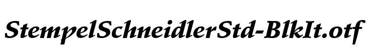 StempelSchneidlerStd-BlkIt