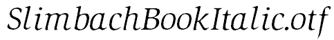 SlimbachBookItalic