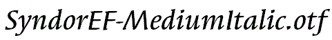 SyndorEF-MediumItalic