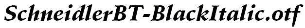 SchneidlerBT-BlackItalic