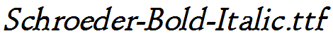 Schroeder-Bold-Italic