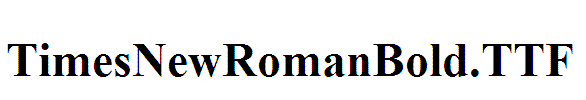 TimesNewRomanBold