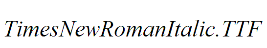 TimesNewRomanItalic