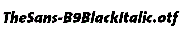 TheSans-B9BlackItalic