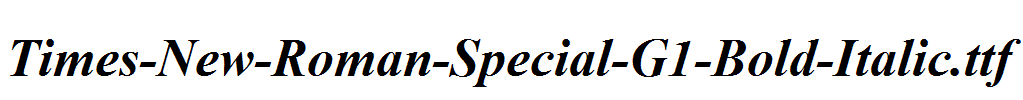 Times-New-Roman-Special-G1-Bold-Italic