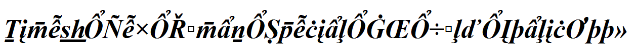 Times-New-Roman-Special-G2-Bold-Italic