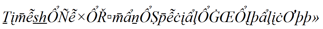 Times-New-Roman-Special-G2-Italic