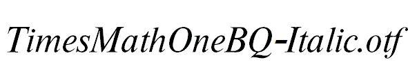 TimesMathOneBQ-Italic