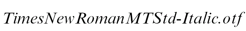 TimesNewRomanMTStd-Italic