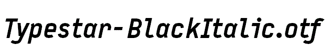 Typestar-BlackItalic