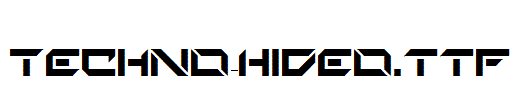 Techno-Hideo