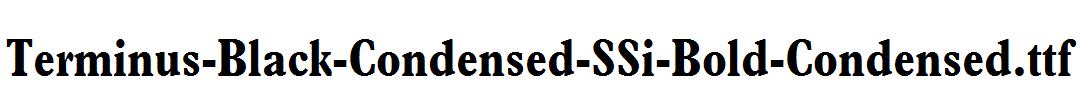 Terminus-Black-Condensed-SSi-Bold-Condensed