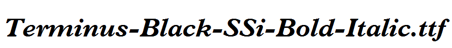 Terminus-Black-SSi-Bold-Italic