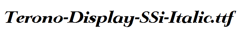 Terono-Display-SSi-Italic