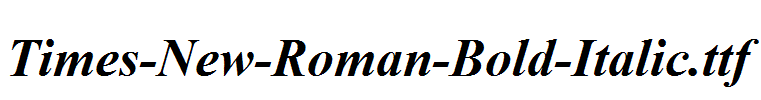 Times-New-Roman-Bold-Italic