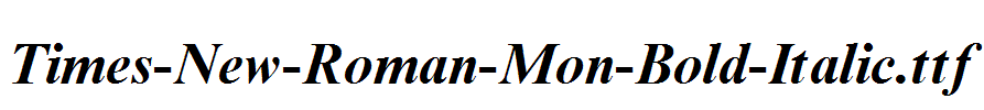 Times-New-Roman-Mon-Bold-Italic