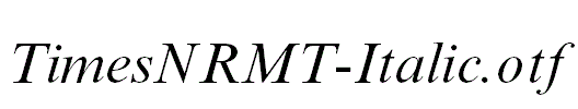 TimesNRMT-Italic