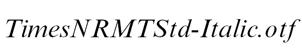 TimesNRMTStd-Italic